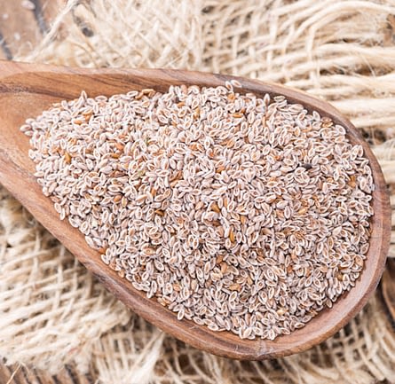 Psyllium - suplemento rico em fibras